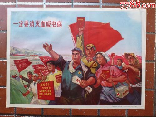 学位证的照片掉了